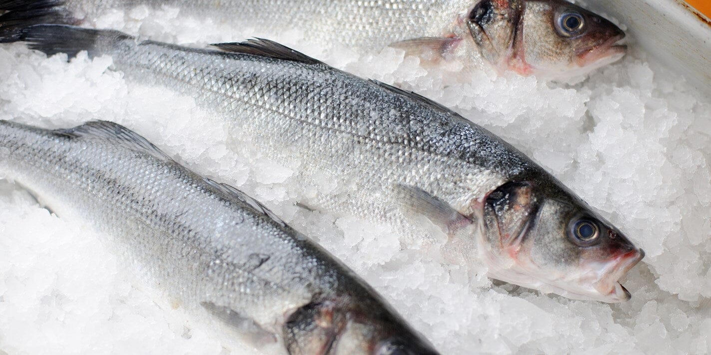 Whole Seabass (price per fish) Moorcroft Seafood Home Delivery