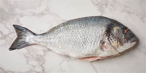 Whole Seabream 400-600g (price per fish) Moorcroft Seafood Home Delivery