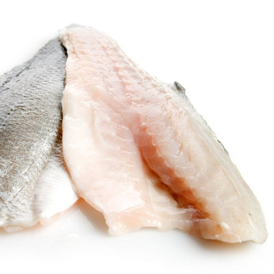6 Seabass Fillets