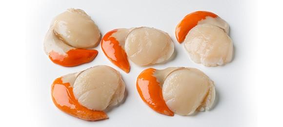 Scallop Roe Inside 1kg Fresh Scallops Roe On – Moorcroft Seafood Home Delivery