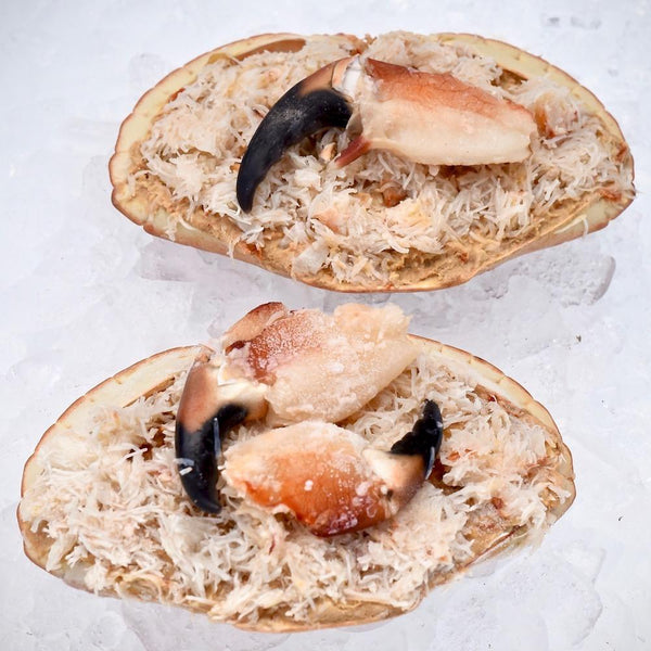 2 x Fresh East Coast Dressed Crabs Moorcroft Seafood Home Delivery 