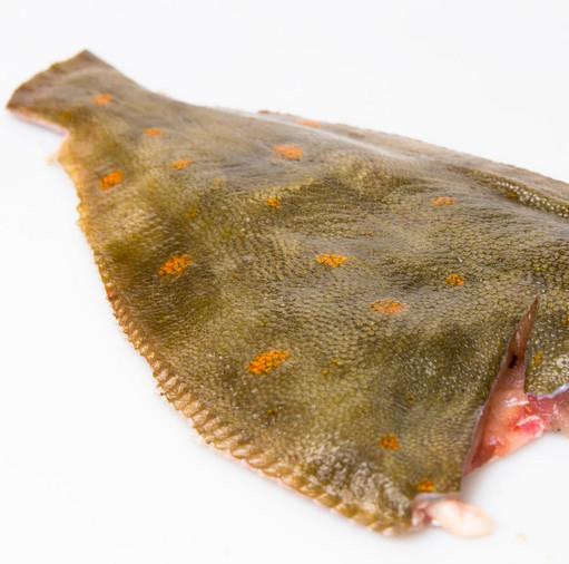 4.54kg Plaice Fillets Moorcroft Seafood Home Delivery 