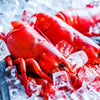 Fresh lobster (Please Enquire For Availability) Moorcroft Seafood Home Delivery 