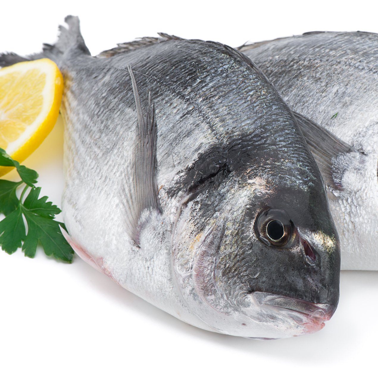 Whole Sea Bream x1 600 - 800g Moorcroft Seafood Home Delivery 
