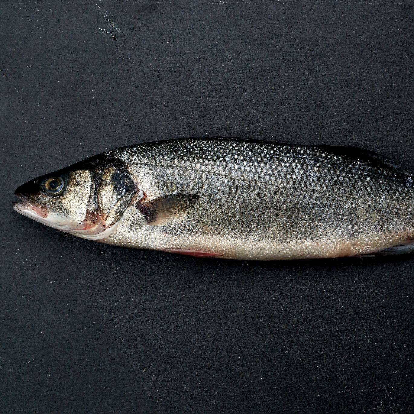 Whole Seabass x1 600g - 800g Moorcroft Seafood Home Delivery 