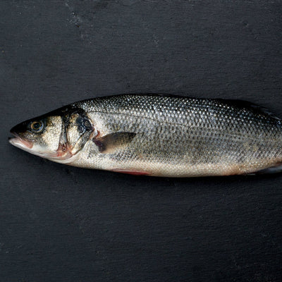 Whole Seabass x1 600g - 800g